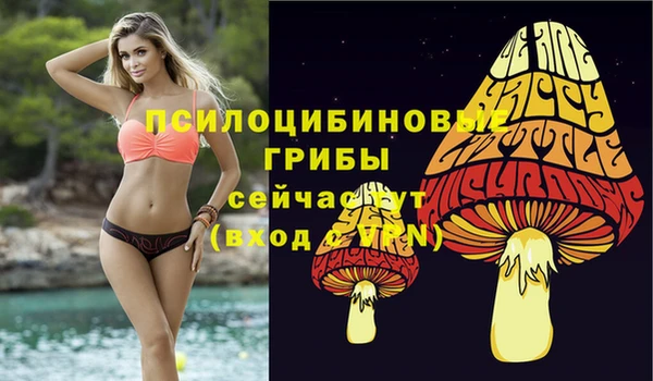 МДМА Богородицк