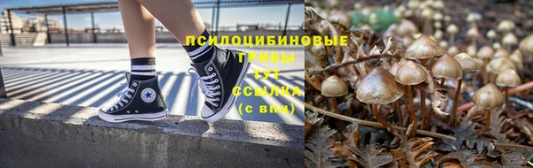 мдма Богданович