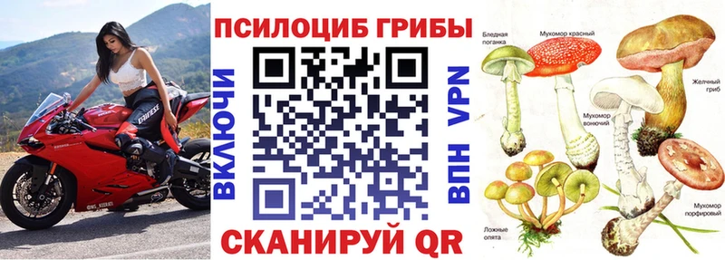 Псилоцибиновые грибы мухоморы  Далматово 